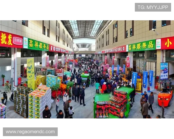 新世纪娱城官网：平台信誉与合法运营背景全面揭秘