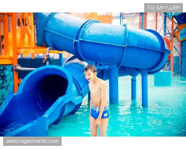 澳门回力海立方简介：探索澳门回力海立方的历史背景与发展历程