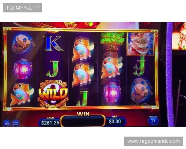 澳门角子机玩法详解与技巧分享让你成为老虎机高手