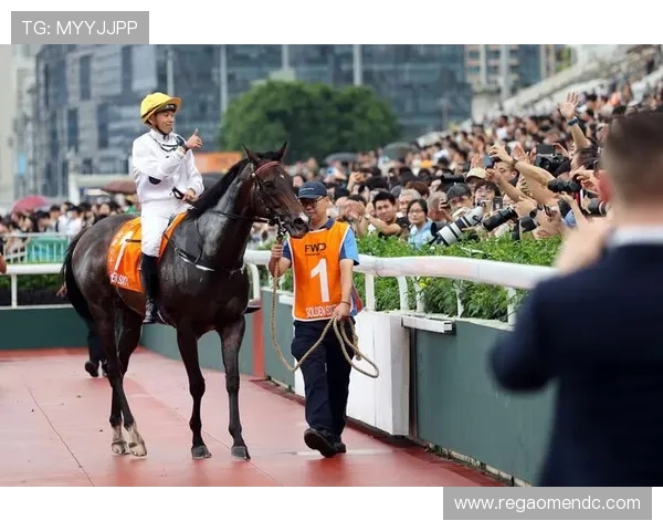 澳门赛马时间安排2024年最新版本全面解析与赛季计划 澳门赛马时间安排2024年最新版本全面解析与赛季计划