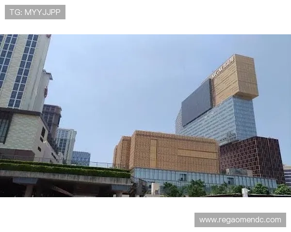 美狮美高梅官网：官方客服支持与常见问题解答全攻略