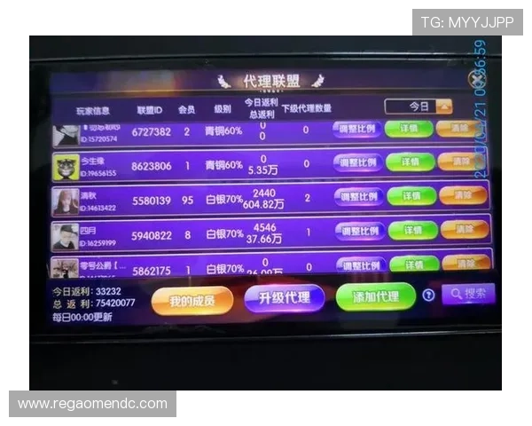 og真人ag玩家必看技巧指南,助你快速盈利赢大奖