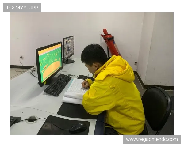 专业的bb视讯维护服务流程详解，保障您的平台全天候平稳安全运行