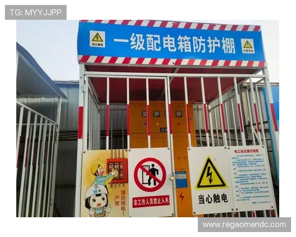 大阳城网址正式入口2024最新版本全面解析与安全保障措施