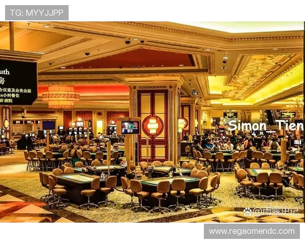 揭秘2020年澳门最大的赌城背后的经营秘密与特色