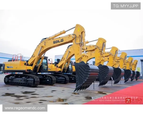 新濠国际发展有限公司官网最新项目合作伙伴与行业合作情况全景视角