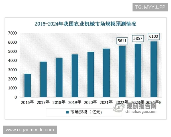 汇彩控股在新兴市场的布局策略详解及其对整体行业发展的带动作用与前景展望