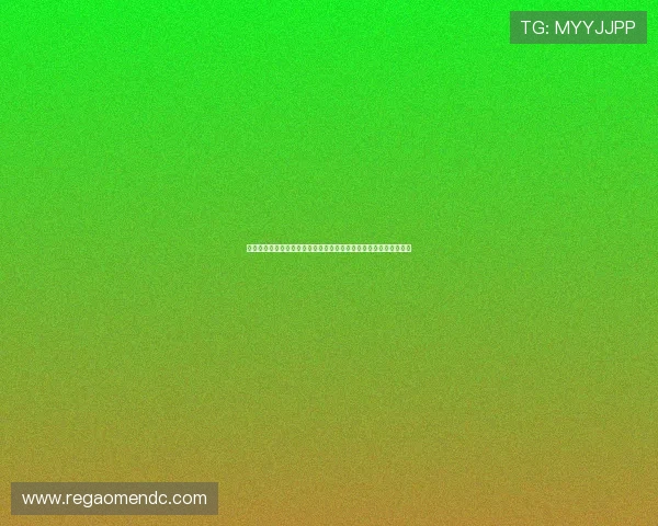 世界杯摩洛哥海地比赛期间运动员签证办理常见问题及解决方案全解