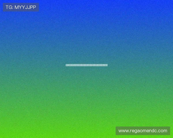 海地主教练与摩洛哥主教练的执教背景及其对球队表现的影响分析