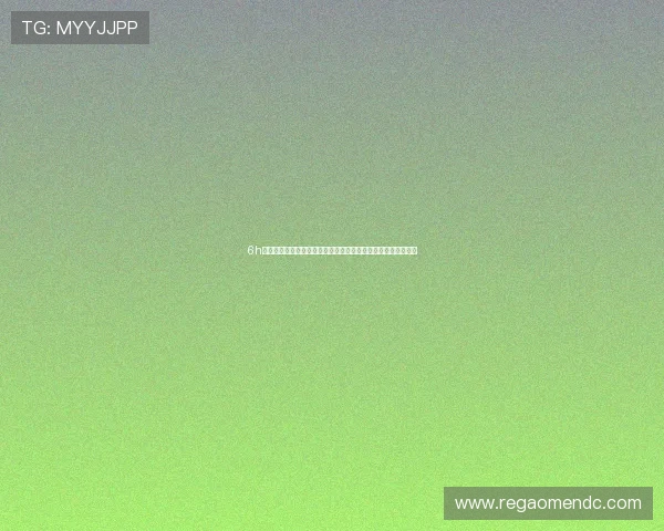 6h彩经网澳门提供专业的世界杯赛场战术分析与球队表现深度解读